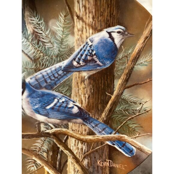 Vintage 5 Encyclopedia Britannica Birds Of Your Garden Collector Plates Knowles - Picture 8 of 12